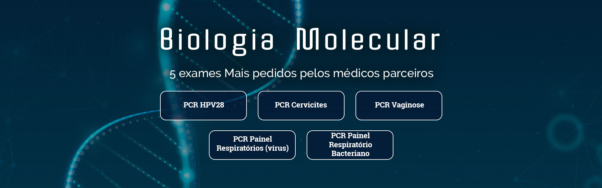biologia-molecular